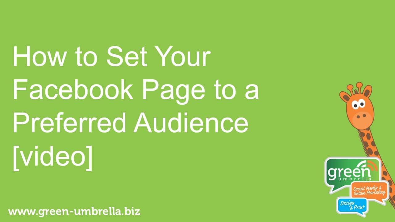 How to set your facebook preferred audience