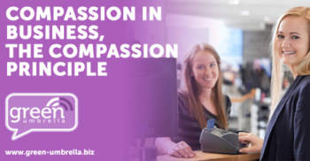 Compassion in Business, The Compassion Principle